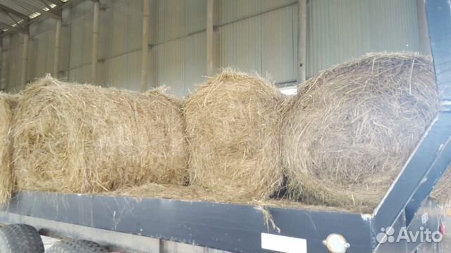 Предлагаем сено многолетних трав (г. Чудово) купить на Зозу.ру - фотография № 2