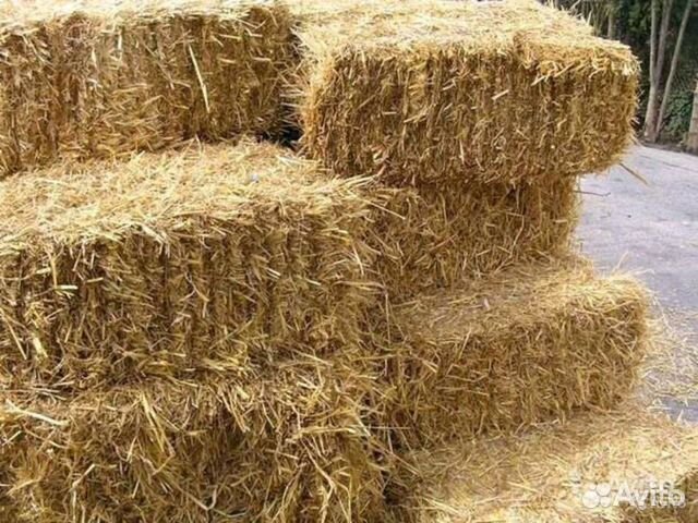Салома яровой пшеницы купить на Зозу.ру - фотография № 1