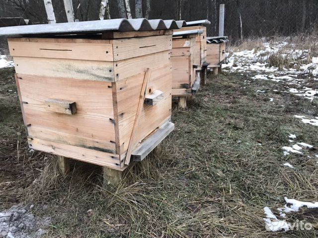 Ульи для пчёл купить на Зозу.ру - фотография № 2
