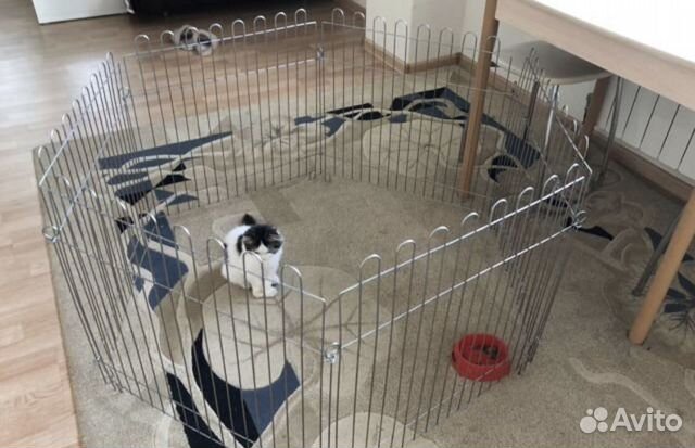 Клетка для собак вольер для животных