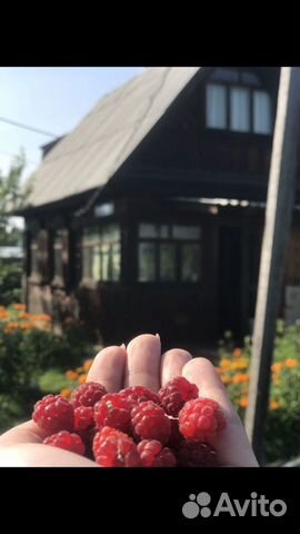 Дача 30 м² на участке 10 сот. Дача 30 м² на участке 10 сот.