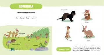 Книга Прогулка по лесу
