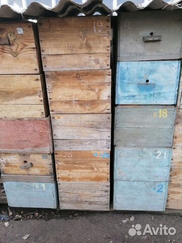 Продам пчелоулья купить на Зозу.ру - фотография № 2