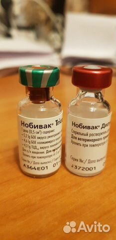 Вакцина для кошек купить на Зозу.ру - фотография № 1