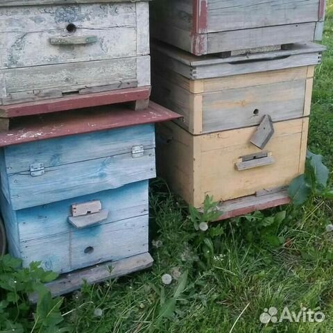 Улей пчелиный дадан купить на Зозу.ру - фотография № 2