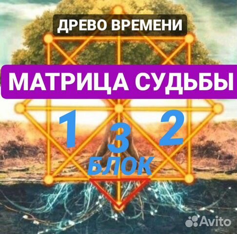 Видеокурс 