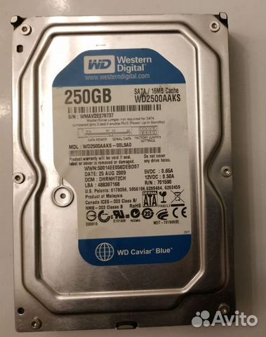 HDD 250 GB Western Digital Caviar Blue
