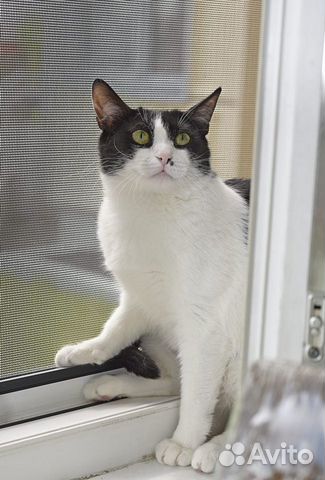 Мусенька Мусенька