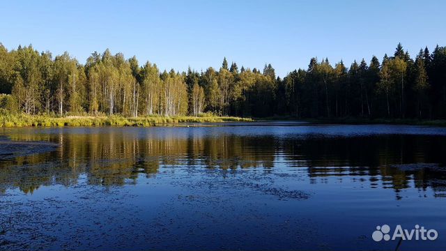 Путевки в санатории России