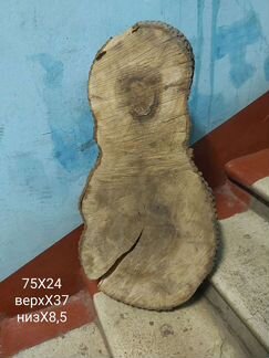 Спил Клена 4