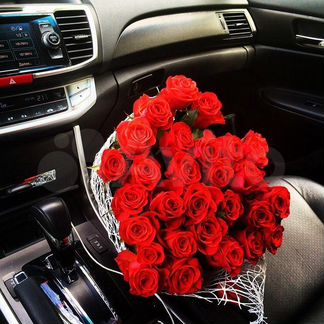 Цветы Розы красные 33 шт Explorer Крупные