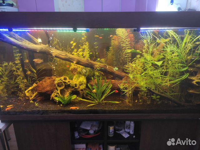 Аквариум 650 литров Atoll Biodesign 650