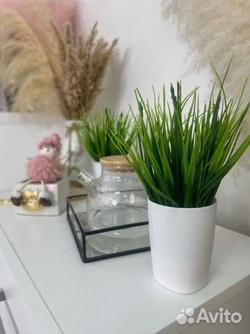 Осока искуственная