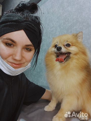 Стрижка кошек, котов и собак грумер