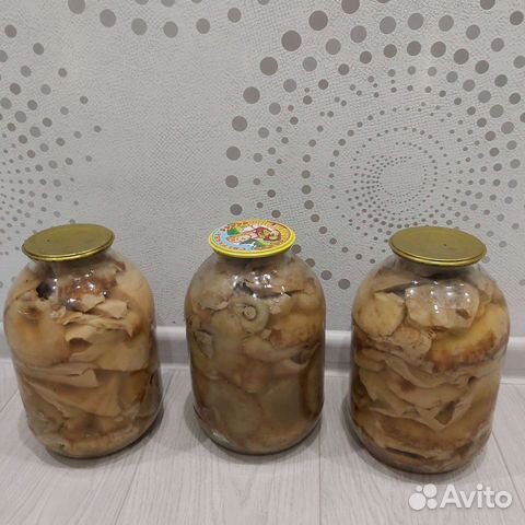 Груздь белый (мохнатый) холодный посол