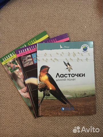 Книги для школьников