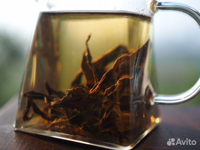 Габа Алишань/Улун