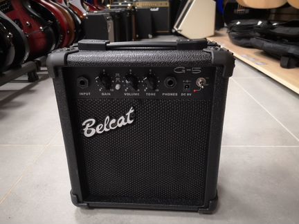 Портативный комбоусилитель Belcat G5