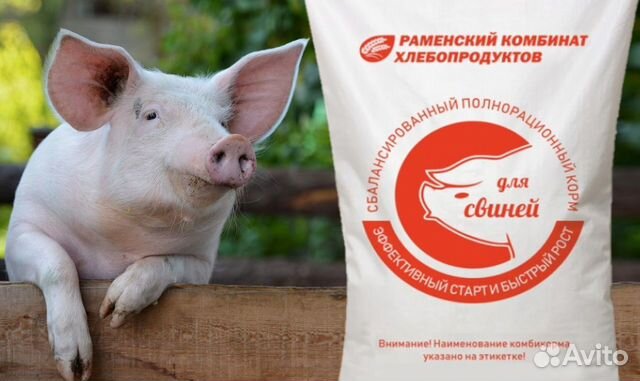 Комбикорм для свиней арт. рк58пз00945