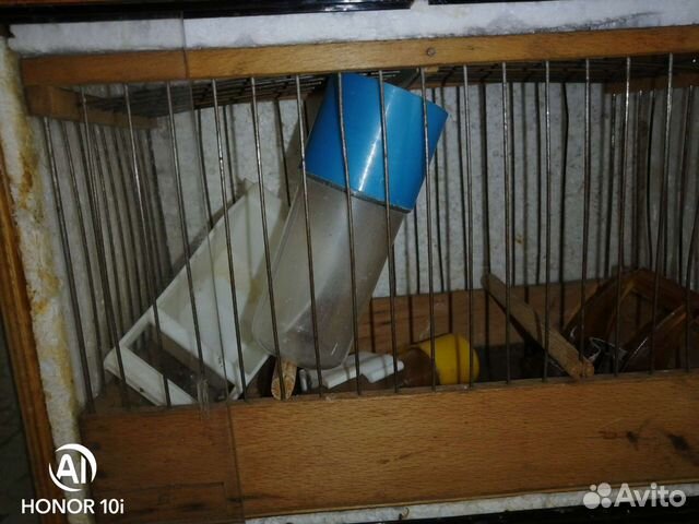 Ящик для переноски или продажи птичек