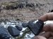 Челябинский метеорит «Сердце метеорита»