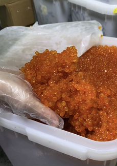 Красная икра горбуша кета нерка кижуч