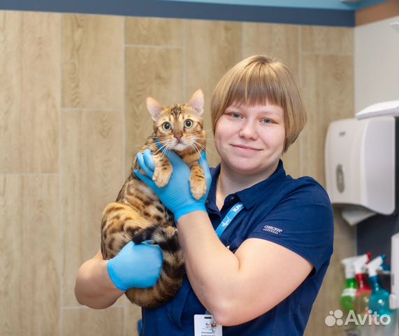 Ветеринарный врач. Круглосуточный выезд на дом