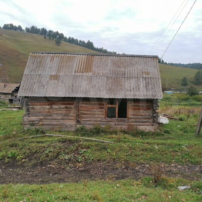 Карасук республика алтай. Село Карасук Республика Алтай Майминского района.