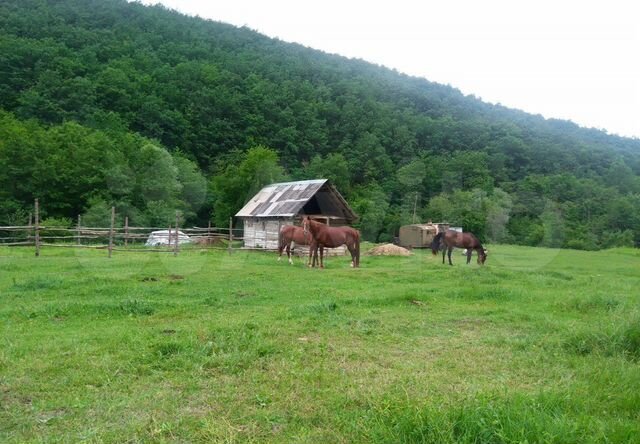 Погода в азовской северского. Станица Азовская Краснодарский край. Станица Азовская Северский район. Северская станица Азовская. Краснодарский край Убинская станица Северская.