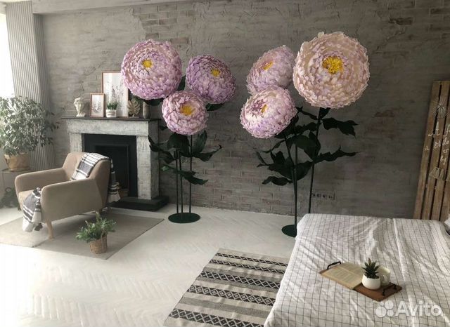 Ростовые пионы