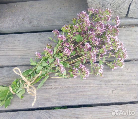 Букет цветов Душица