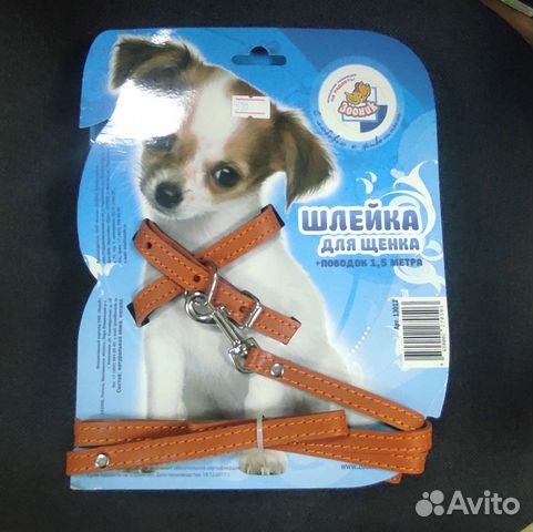 Шлейка-поводок, ошейник для кошек и собак