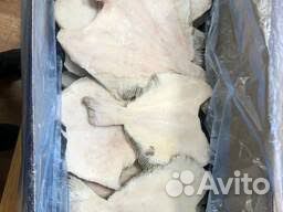 Камбала б/г