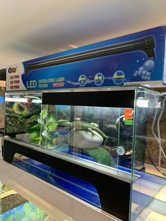 Террариум для ящериц