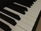 Цифровое пианино Yamaha P- 35 объявление продам