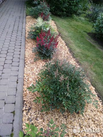 Эко-Мульча Щепа (ольха)