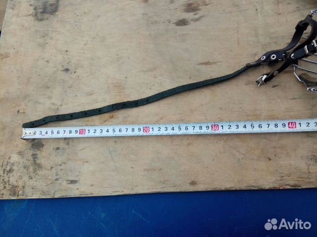 Собачий намордник