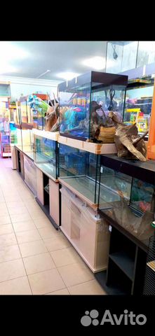 Аквариум. Аквариум с тумбой, с крышкой