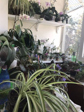 3-к. квартира, 80 м², 4/5 эт.