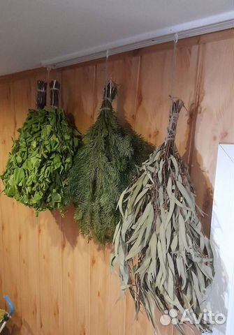 Веники березовые