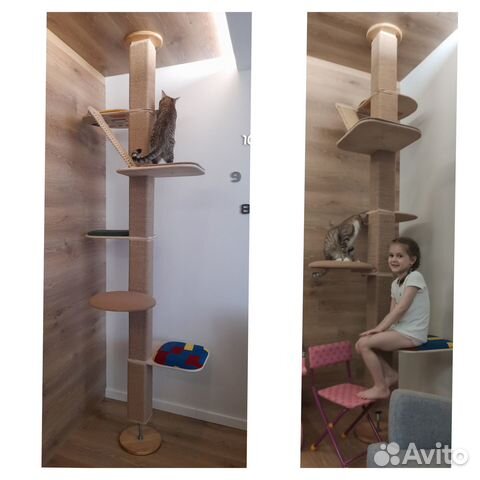 Когтеточка, когтедерка, комплекс, домик