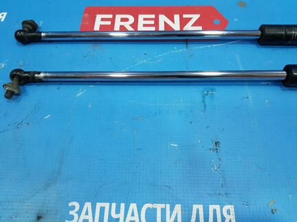 Forester SF 1996-02 Комплект амортизаторов крышки