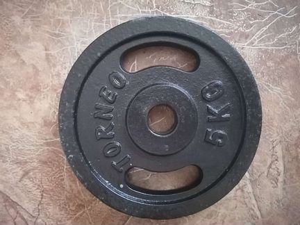 Спортивные блины 5кг диск torneo