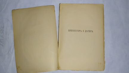 Юлий Айхенвальд. Отдельные страницы.1910г