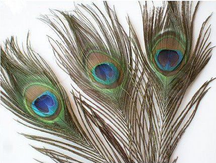 Перо павлина малое 30см