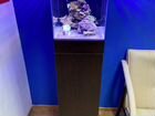 Купить морской аквариум объявление продам