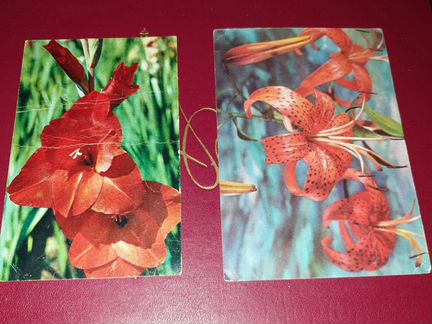 Открытки Цветы СССР 1970-80е