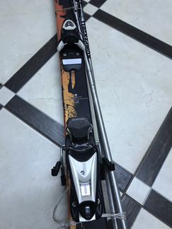 Горные лыжи