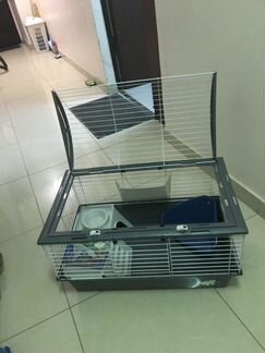 Клетка для морской свинки