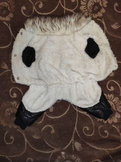 Одежда для мопса